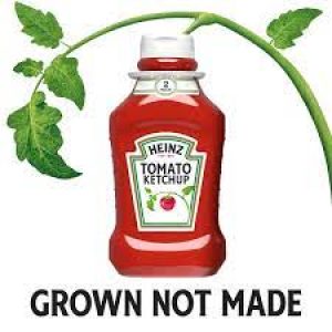 HZ ORG KETCHUP 1PK 839212
