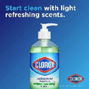 CLOROX ANTIBACT ALOE 16 FL OZ