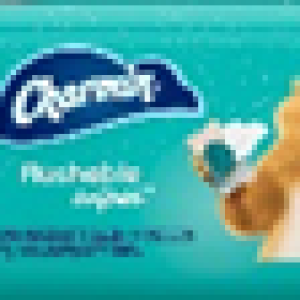 CHARMIN FLUSHABLE WIPES  40 CT