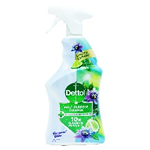DETTOL MULTIPURPOSE SPRAY BERGAMOT BLISS 28/02/27 750ML